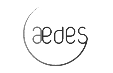 Aedes